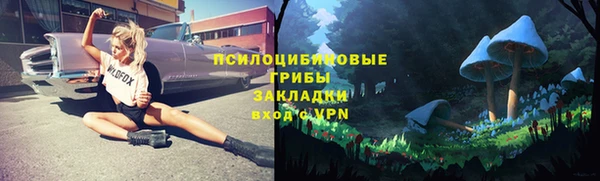 MDMA Новодвинск