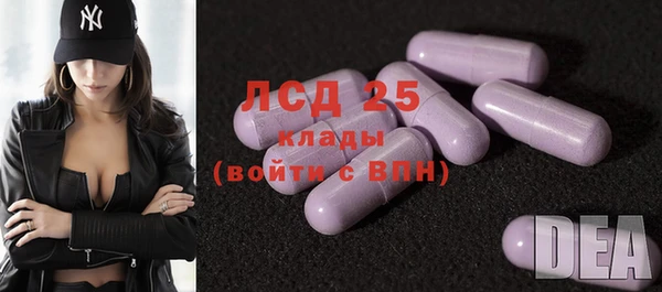 дурь Болохово