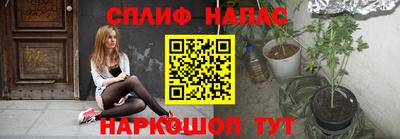дурь Гай