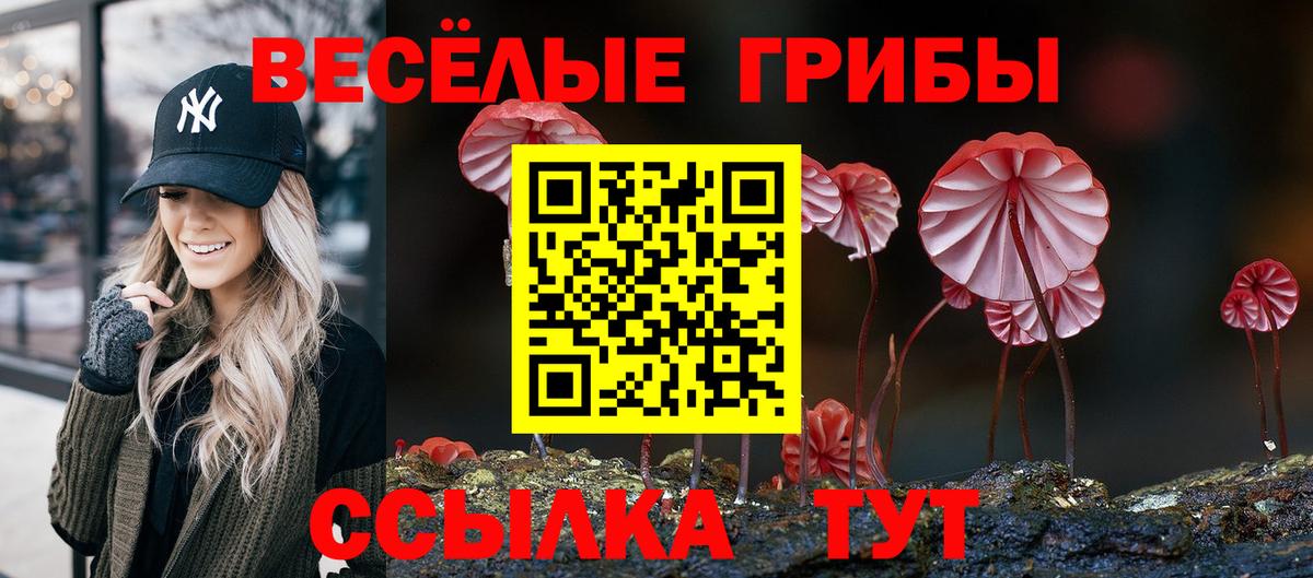 Галлюциногенные грибы прущие грибы Лысьва