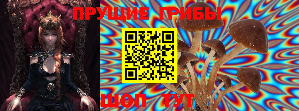 Галлюциногенные грибы GOLDEN TEACHER  Вход с VPN  Галлюциногенные грибы Psilocybine cubensis  Лысьва 